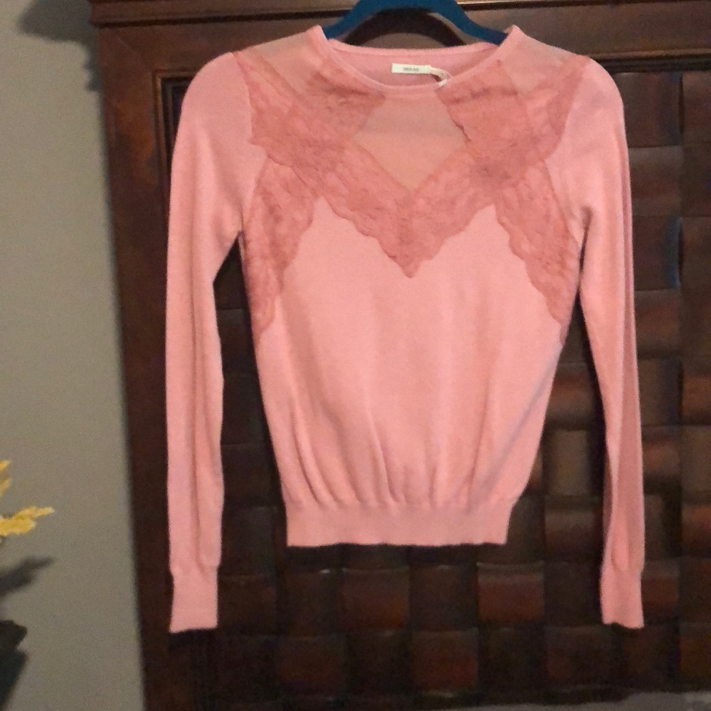 Pink Sweater